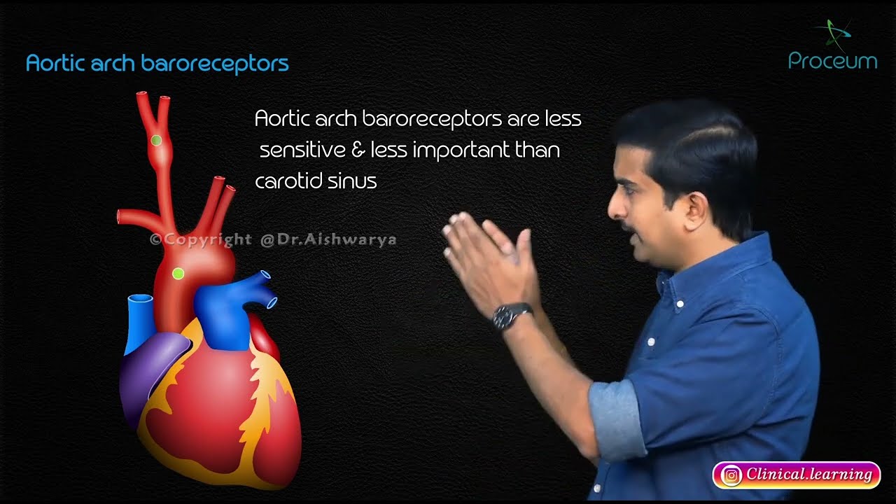 Peripheral Baroreceptors & Chemoreceptors