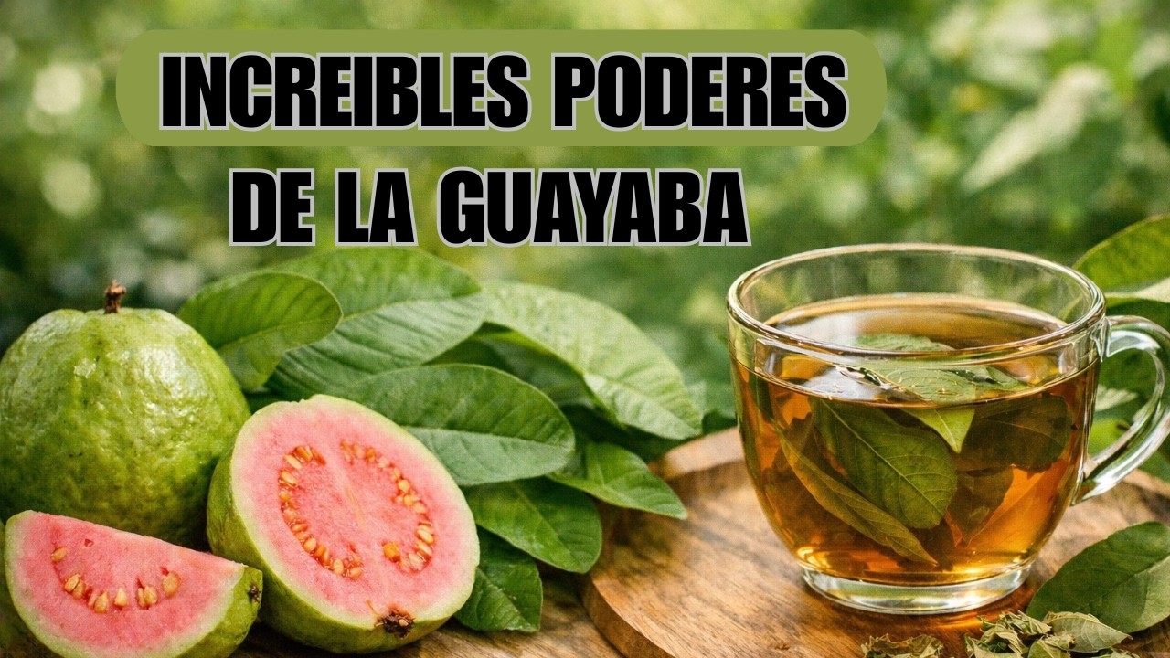 HOJA DE GUAYABA: 12 ENFERMEDADES QUE AYUDA A MEJORAR (Y CÓMO USARLA BIEN)