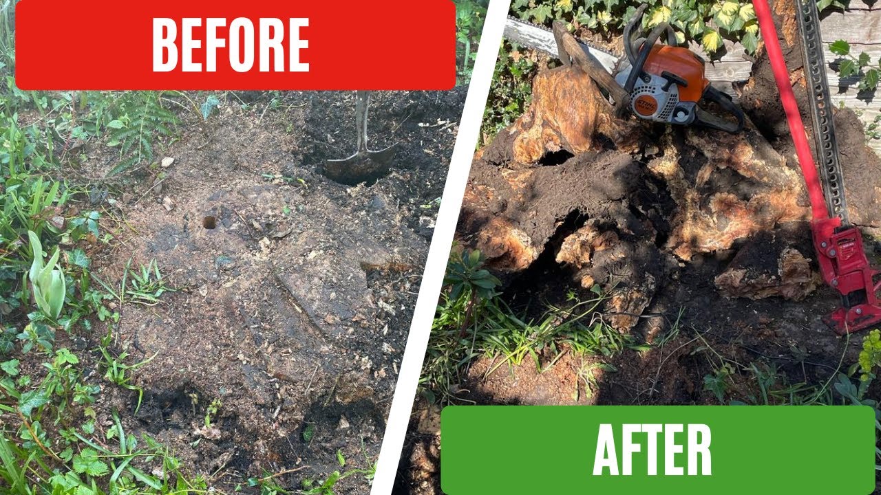 Large Tree Stump Removal | Using Chainsaw and High Jack