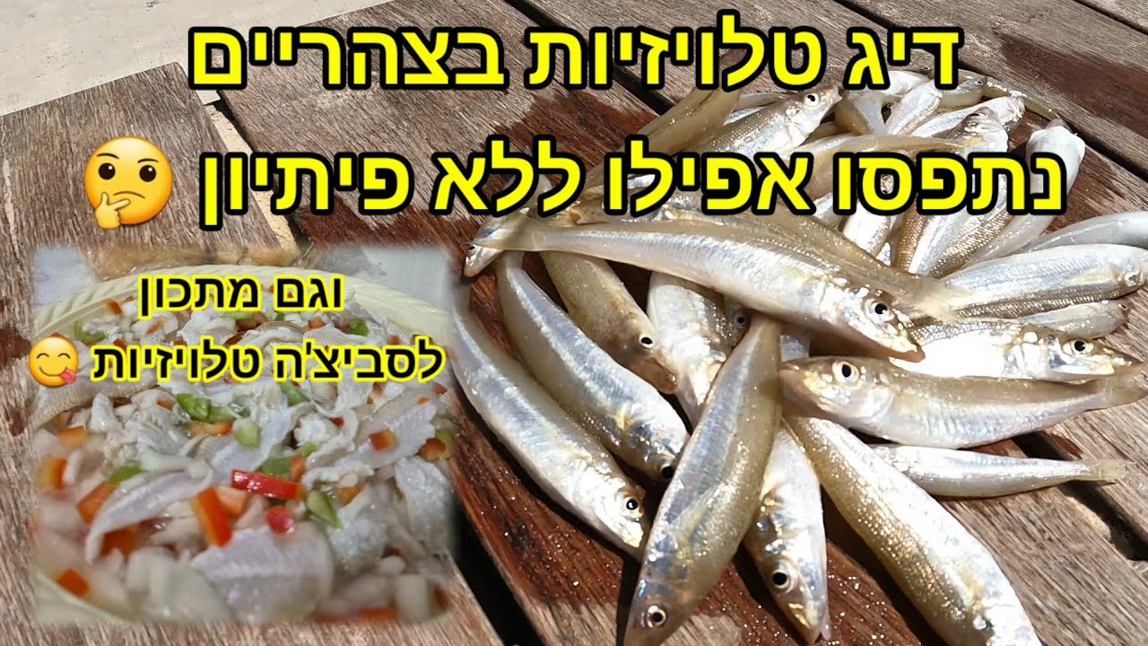 דיג בים התיכון טלויזיות נתפסות גם ללא פיתיון כלל רק על הקרסים ,