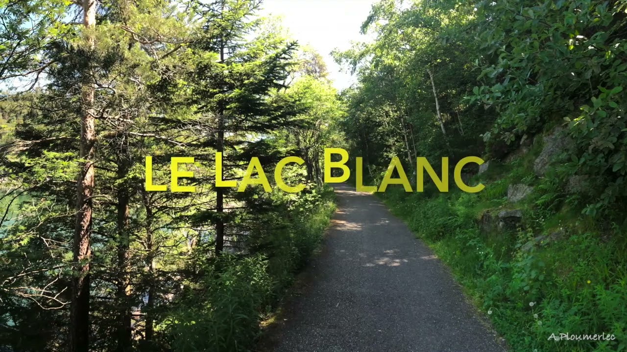 LES VOSGES   LE LAC BLANC