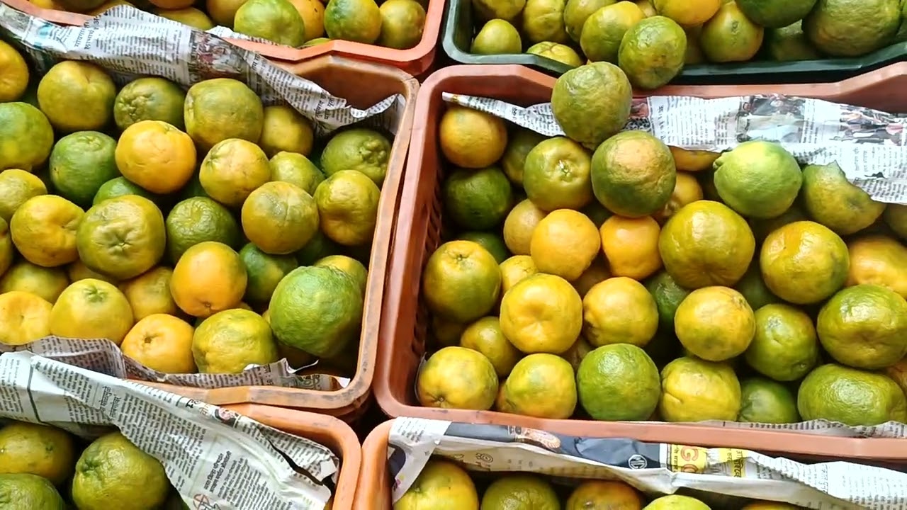 #today 19 January 2026 #live #auction #orange #batasingaramfruitmarket