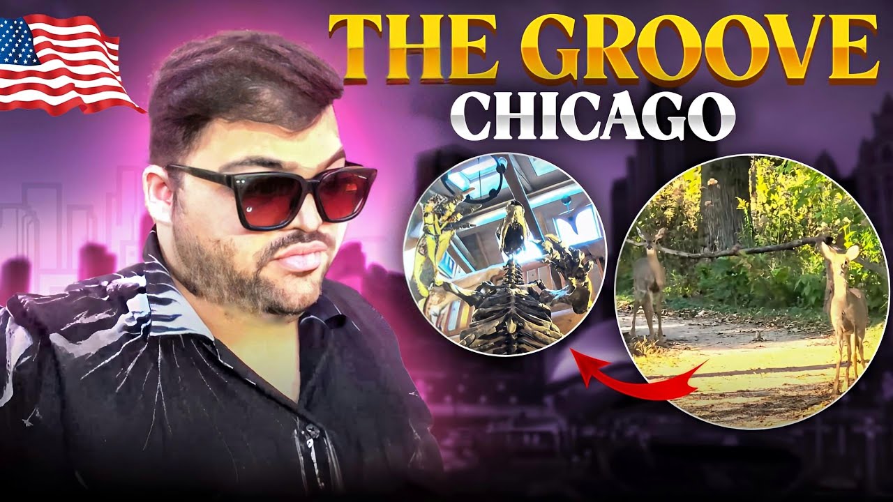 THE GROOVE CHICAGO- DMV AND VLOG LIFE 🇺🇸✨