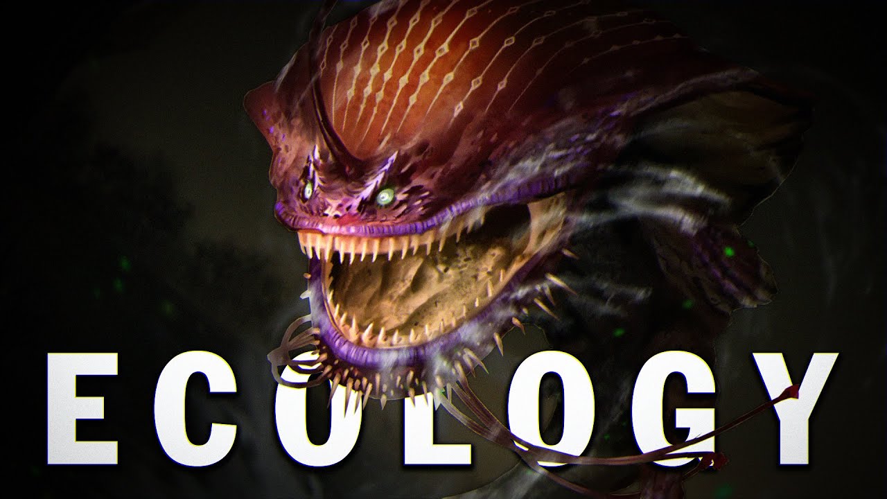 The Gobul & Nibelsnarf | Monster Hunter Ecology