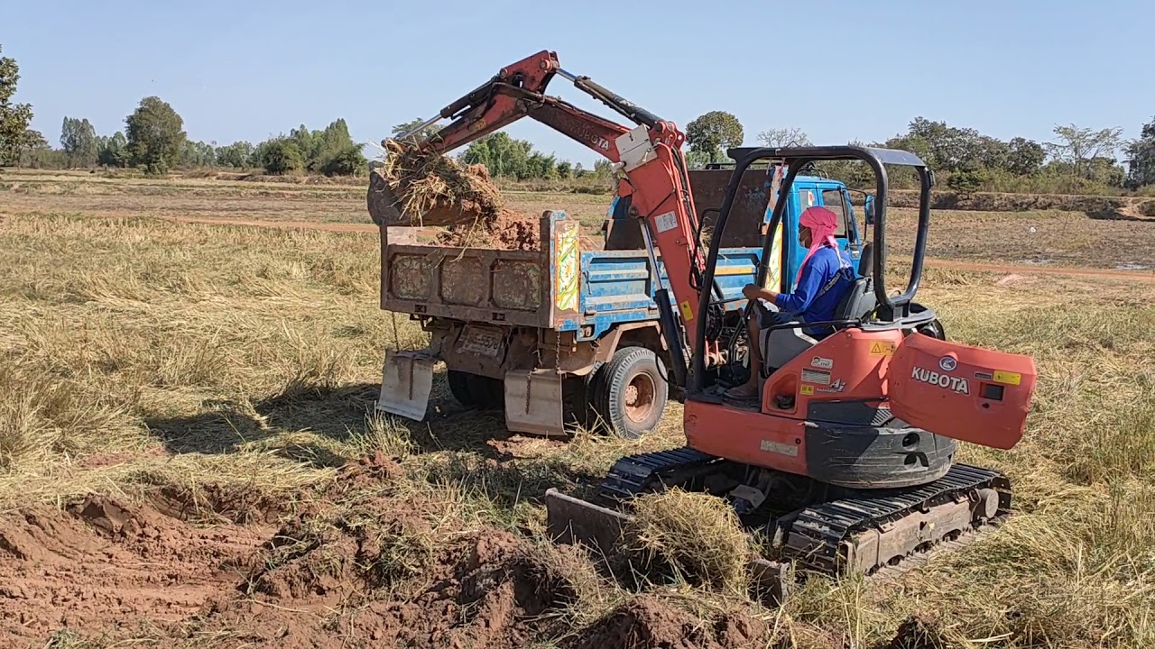 ตัวเล็กแต่ใจใหญ่ KUBOTA U35 น้ำหนัก3.5ตัน ลุยงานลอกนา จัดเต็มอุ้ม excavator and truck