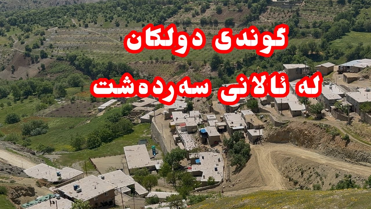 گوندی دولکان لە ئالانی سەردەشت. @sardesht68 