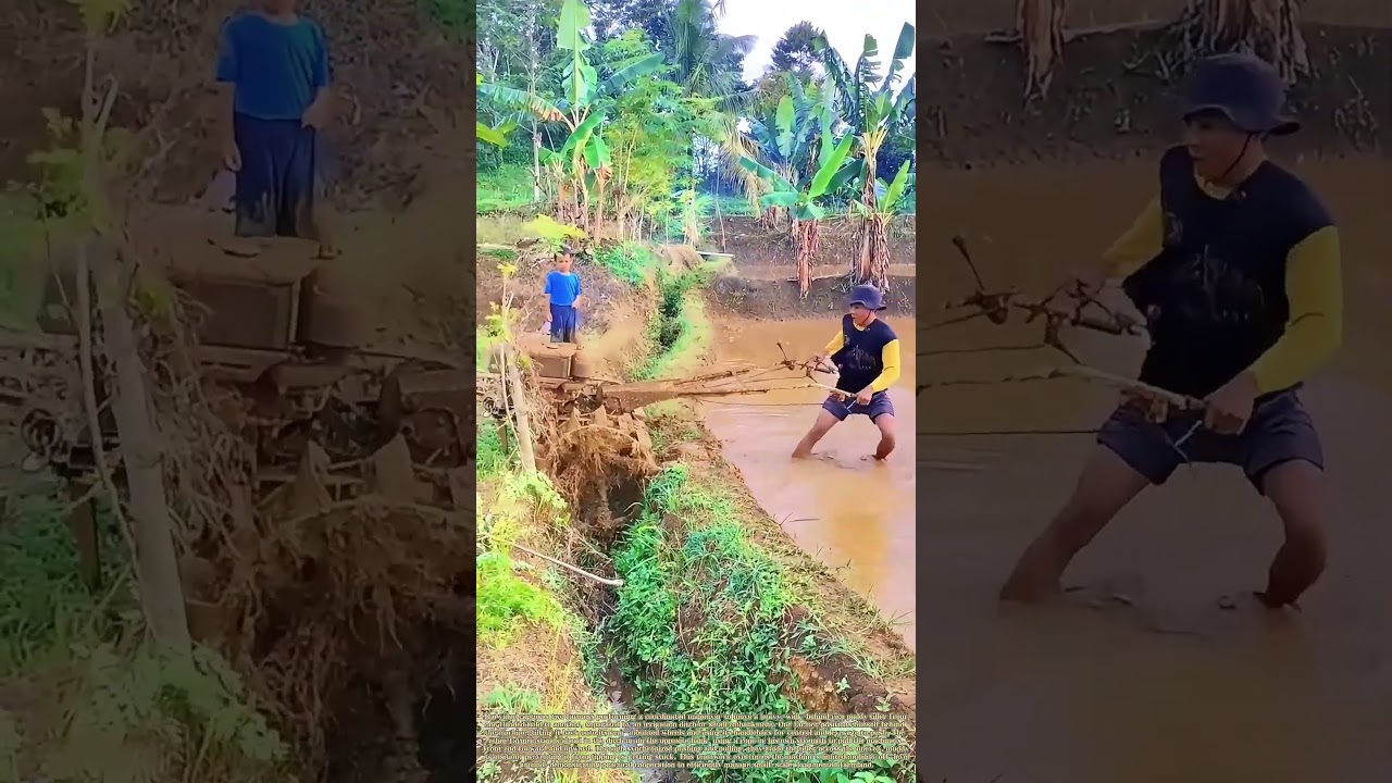 Field-to-Field Transfer: The Two-Person Tractor Tango