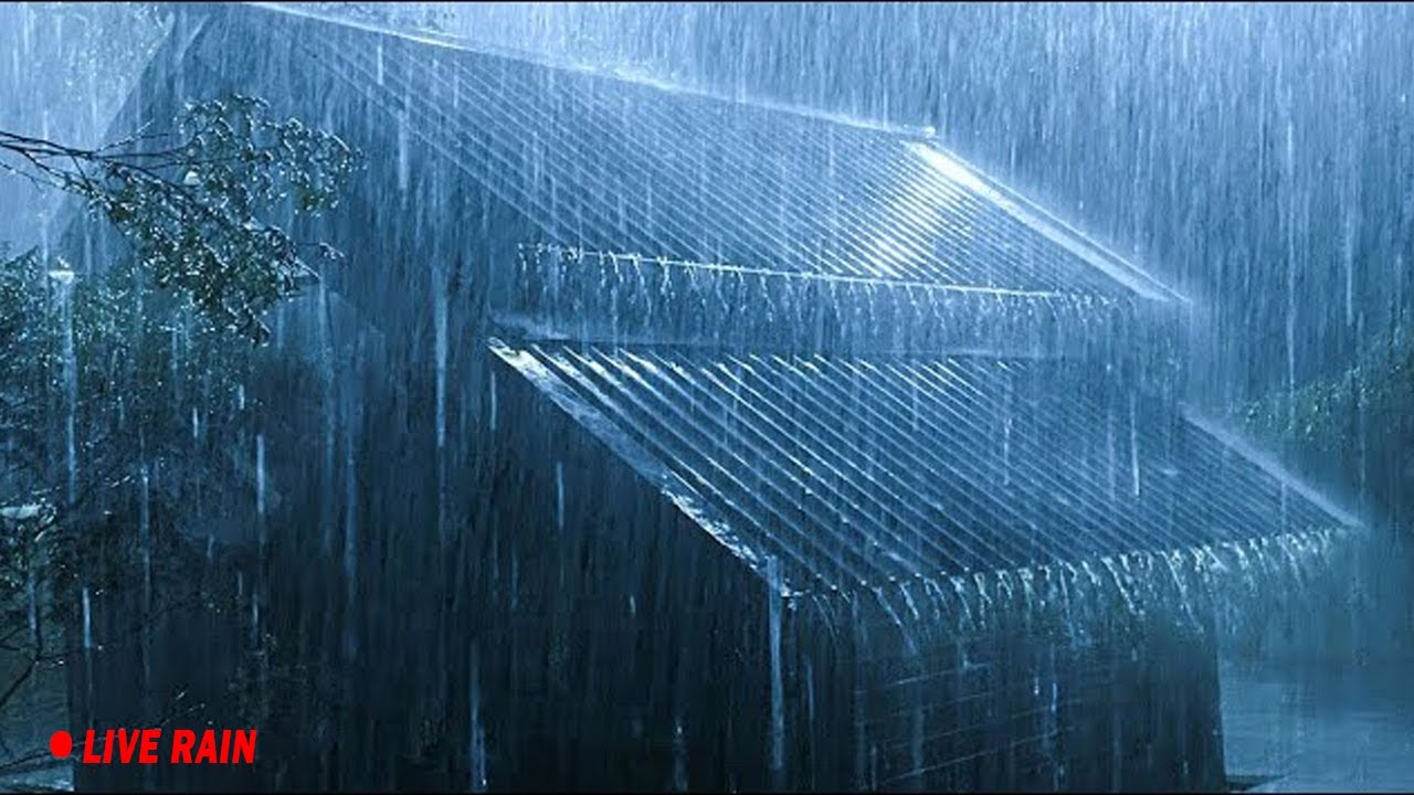 Sleep to Ocean Thunderstorm Sounds to Wake Up Refreshed and Relaxed