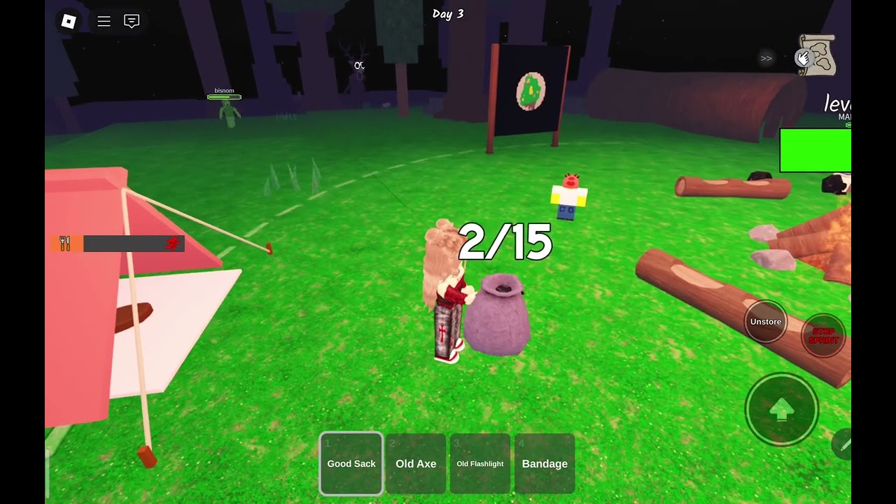 Playing 99 Nights in the forest
