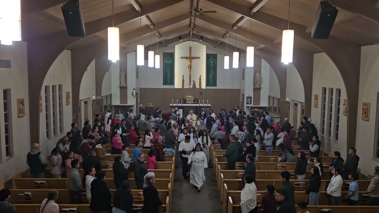 Santa Maria del camino (Mientras recores la vida) Misa de la Candelaria 2026