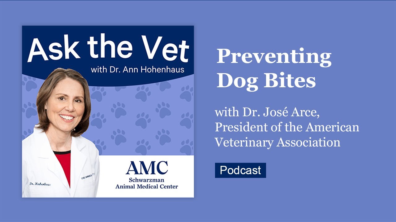 Ask the Vet: Preventing Dog Bites with Dr. José Arce