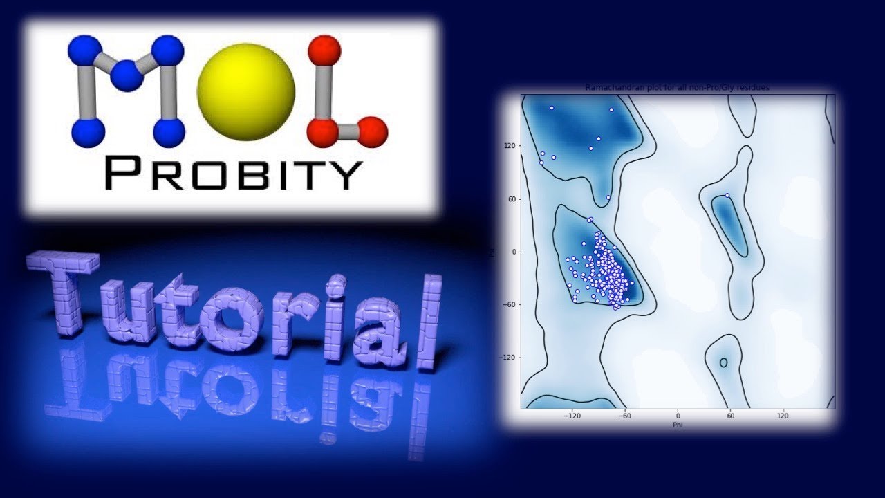 Как запустить MolProbity (веб-интерфейс и графический интерфейс Phenix)