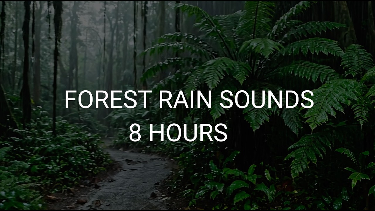 Forest Rain 8 Hours No Thunder | Deep Sleep, Relaxation & Stress Relief