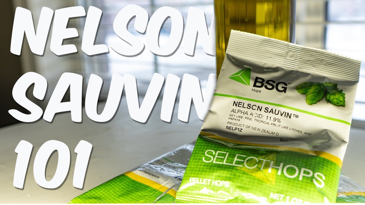 What's Nelson Sauvin hops?