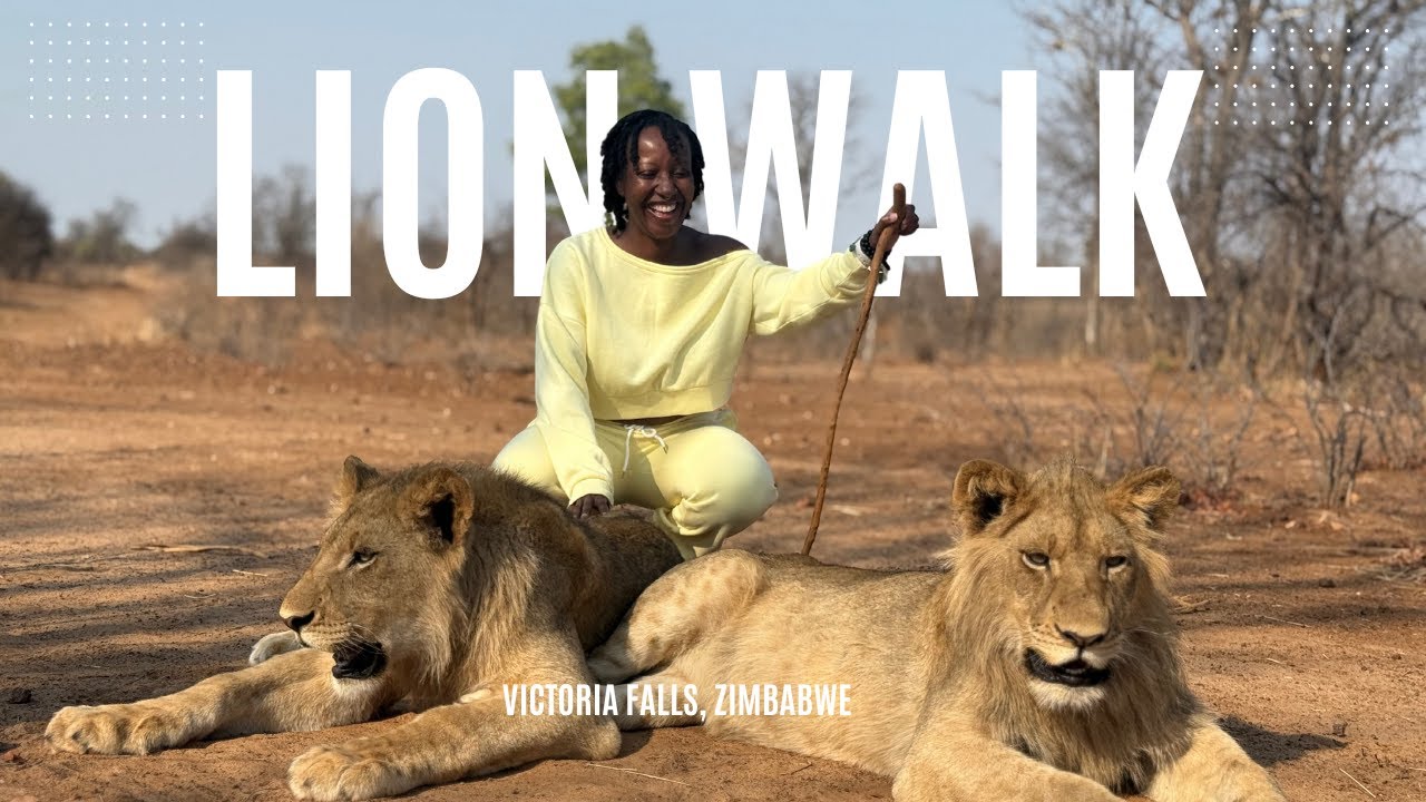 Walking with Lions Zimbabwe