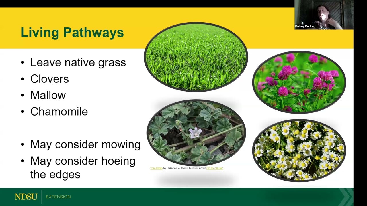 Minimal Till Gardening - Spring Fever Garden Forums