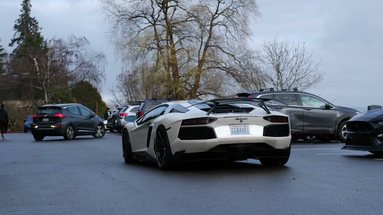 Fuji X-H2 8K Test / Lamborghini Aventador