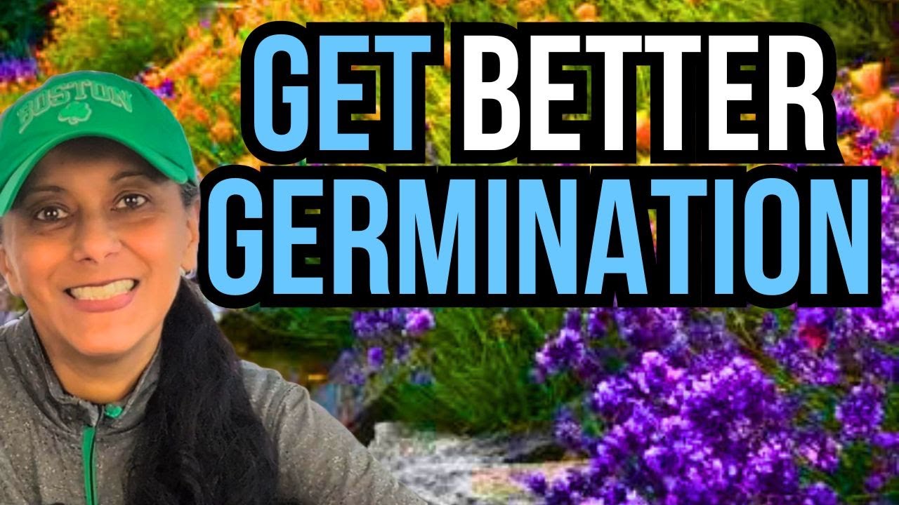 Why Your Seeds Won't Sprout: Cold Stratification Guide  🌱🧊✨