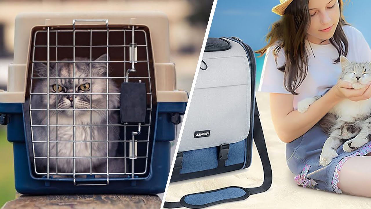 Soft Vs Hard Cat Carrier - Which is Right for You?