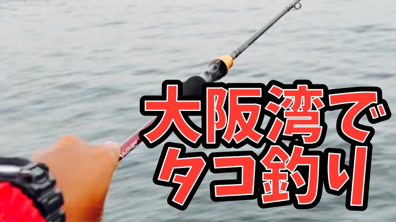 タコ釣り専用の竿を使ったりタコエギに小細工してタコ釣っていく【タコ釣り】【オクトパッシング】【陸っぱり】