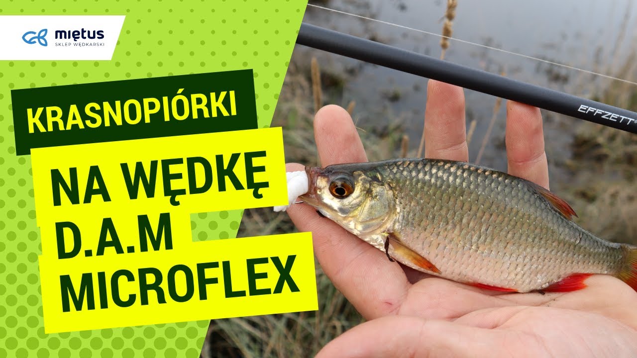 WZDRĘGI na ULTRALIGHTA | TEST Wędki DAM Effzett Microflex 2,30m 2 - 10g 🎣