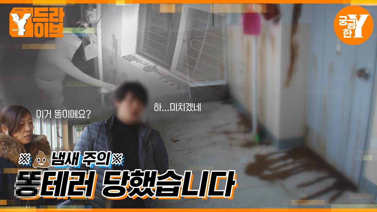 하... 솔직히 이거 욕이 안 나올 수가 없잖아,,,🤬 똥 테러 한 마스크맨은 누구? 😷💩💩💩 | Y드라이브