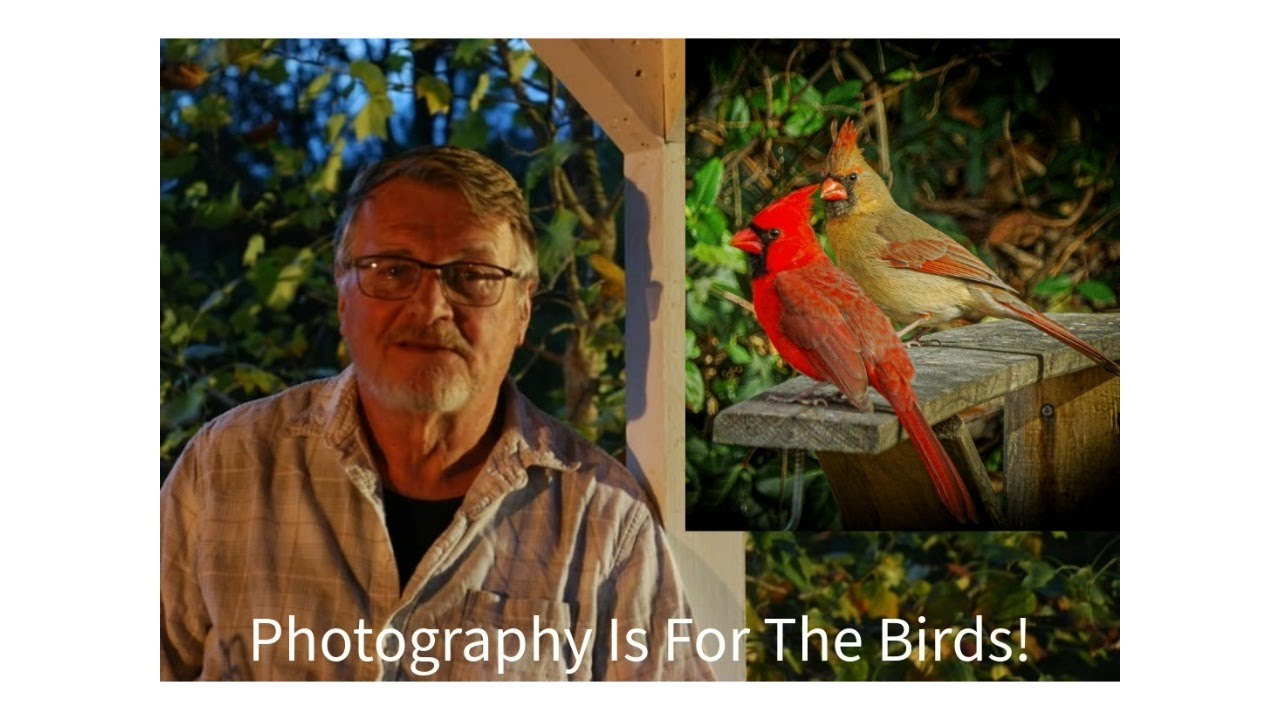 I Think Photography Is For The Birds!!!