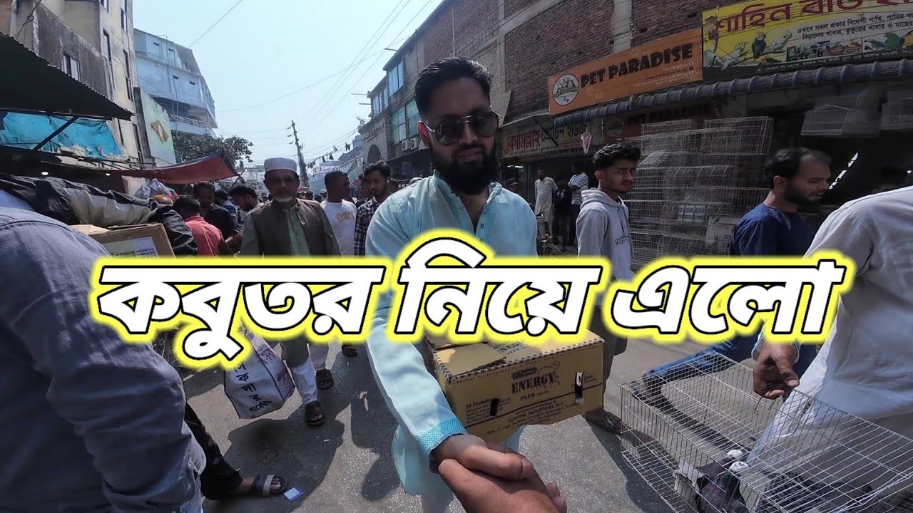 মিরপুর কবুতরের হাটে আমার জন্য একটা কবুতর নিয়ে এলো আমার এক ভাই❤️