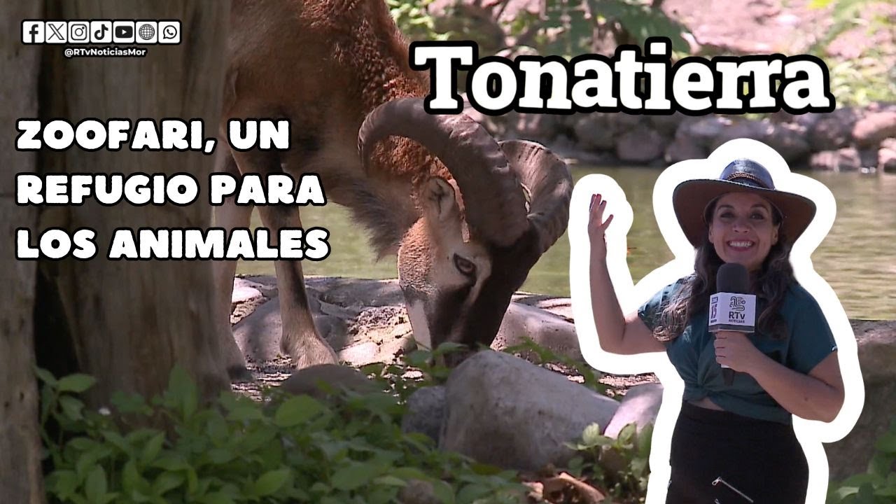 Zoofari, un REFUGIO para los animales | #Tonatierra