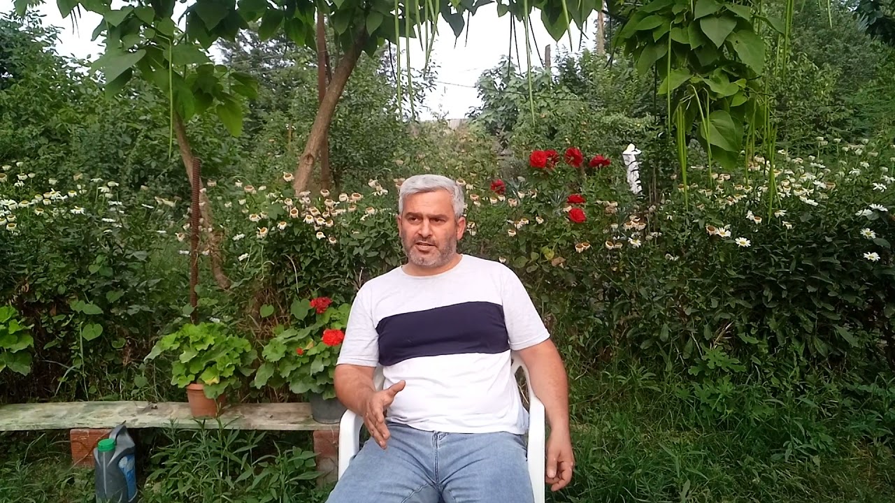 Arılar niyə yeşikləri tərk edir?