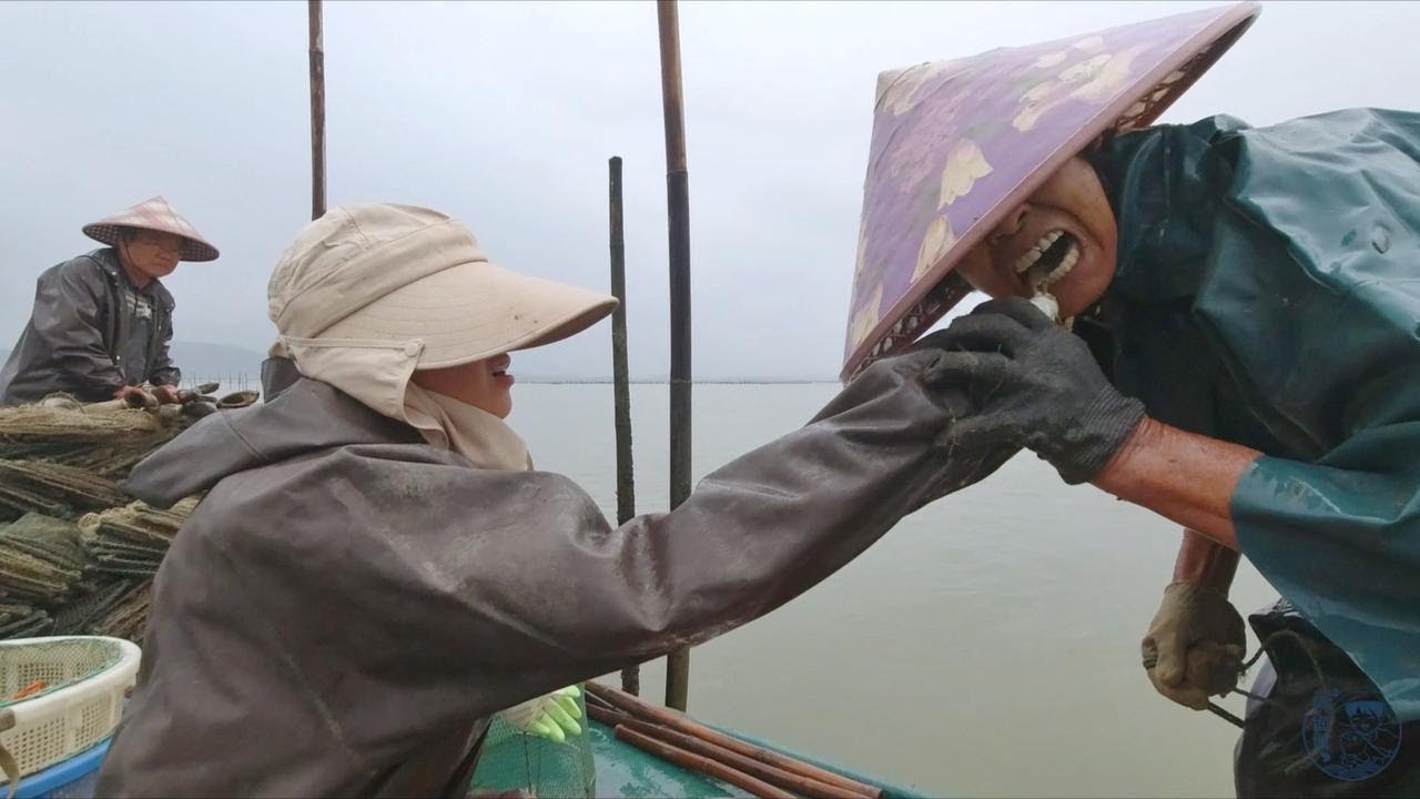 阿渔妹被猛货咬着不肯放，渔妈脸都吓青了，情急之下将它反咬一口【阿渔妹】