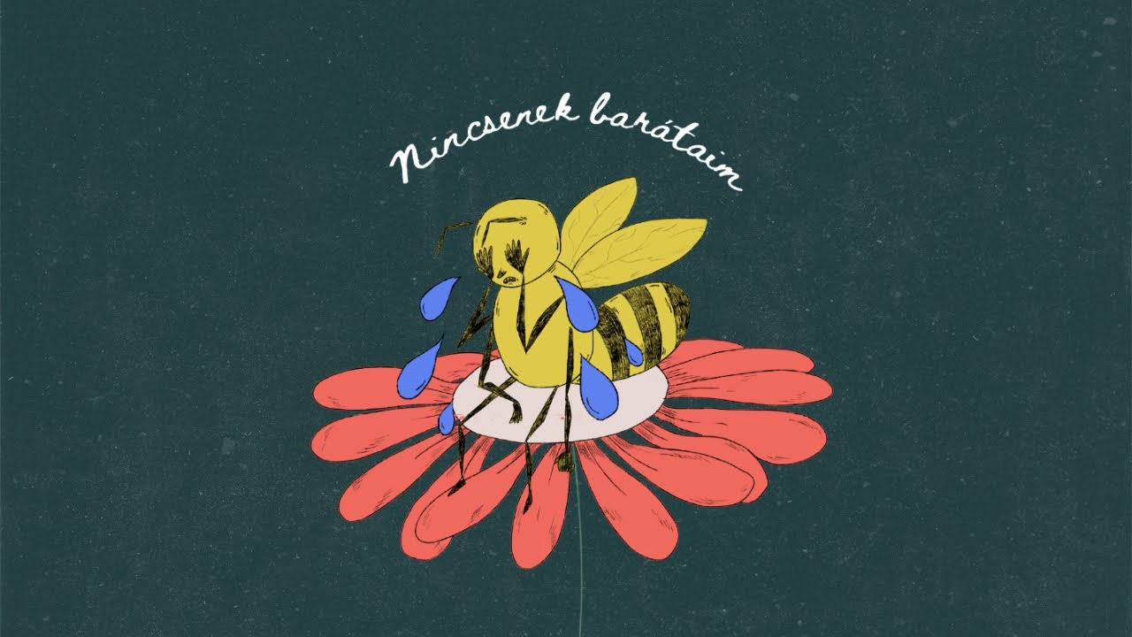 twentees - Nincsenek barátaim