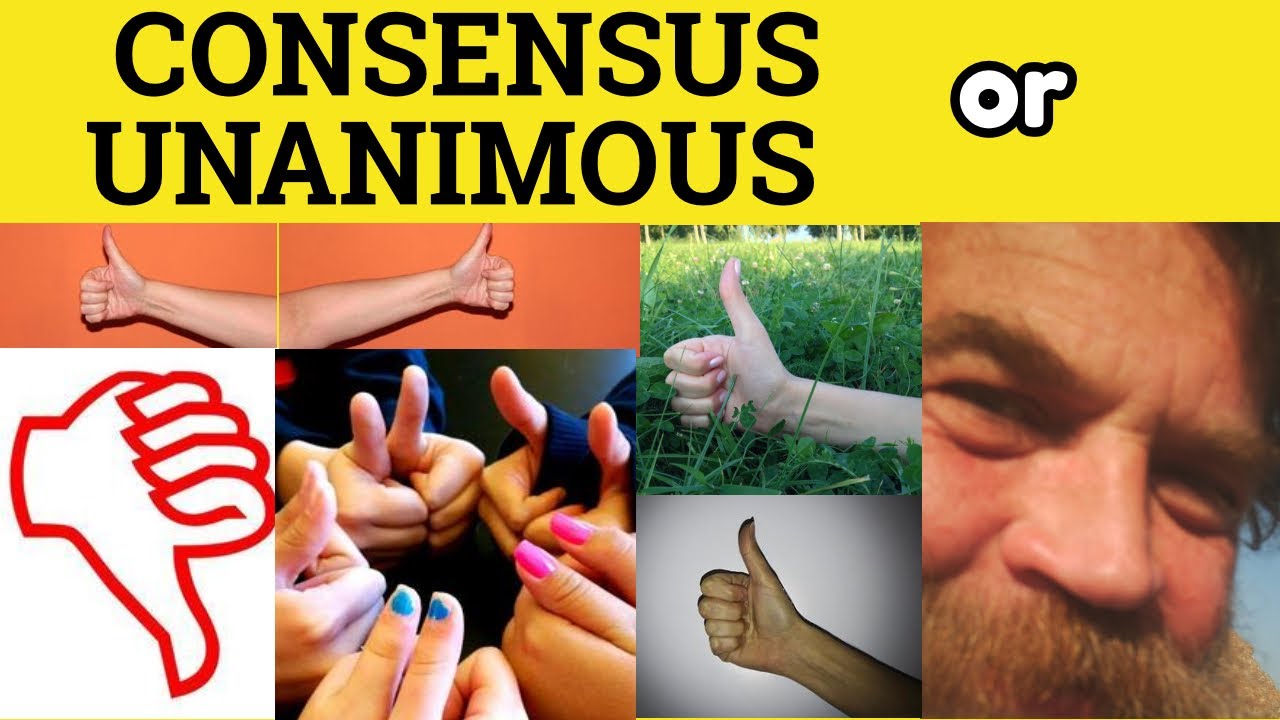 🔵 Consensus or Unanimous - Consensus Meaning - Unanimous Examples - Consensual - Unanimity