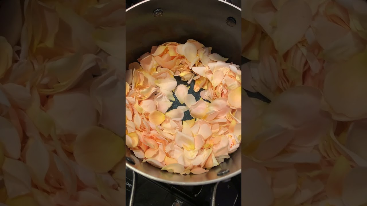 Creating distilled rose water