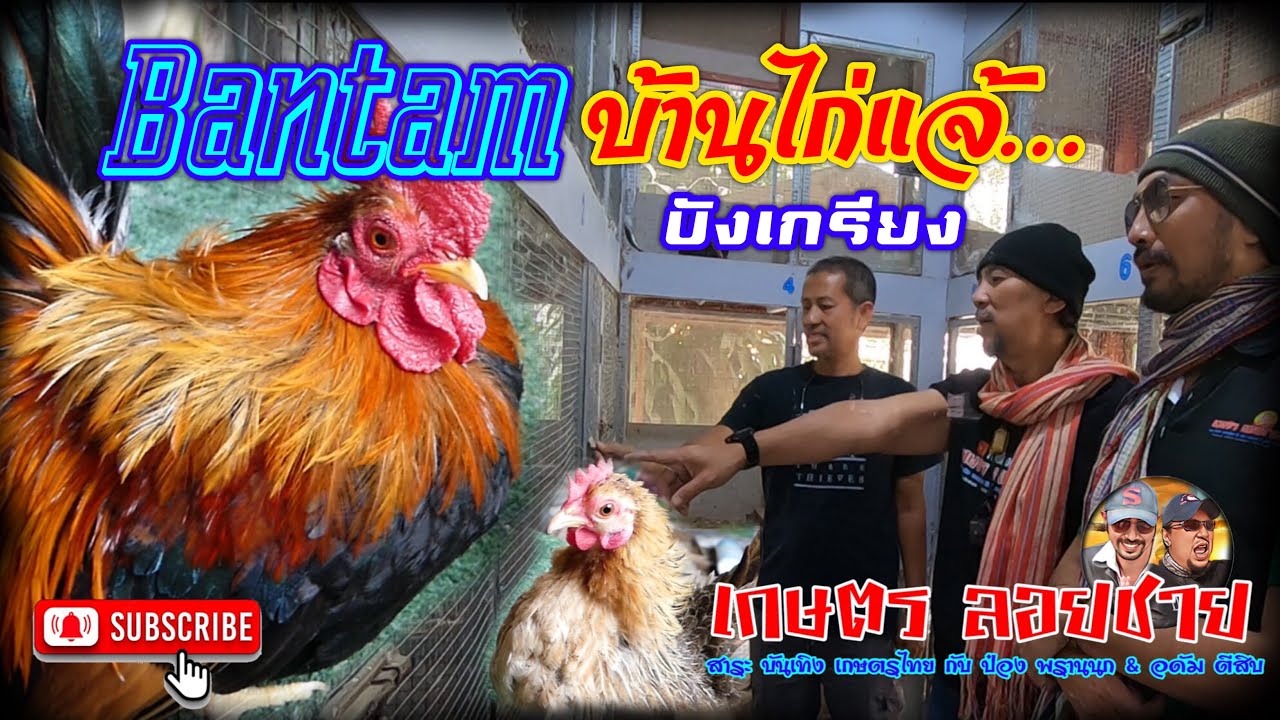 สุดจริงๆสร้างบ้านได้ด้วยไก่แจ้..แถมกวาดรางวัลจนล้นบ้าน @PongLoychai