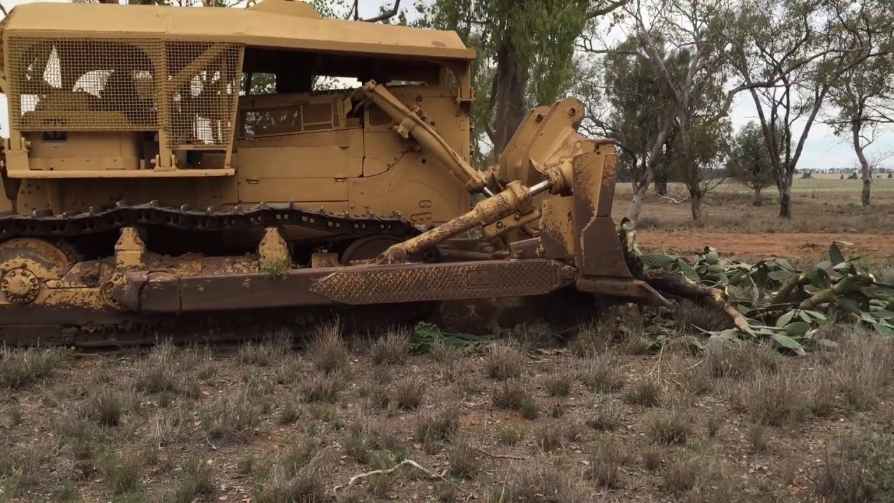 Dam desilting