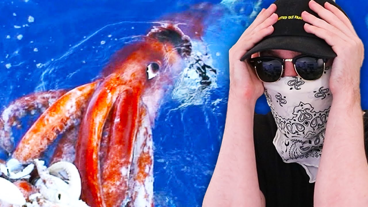 The Ocean Is Terrifying