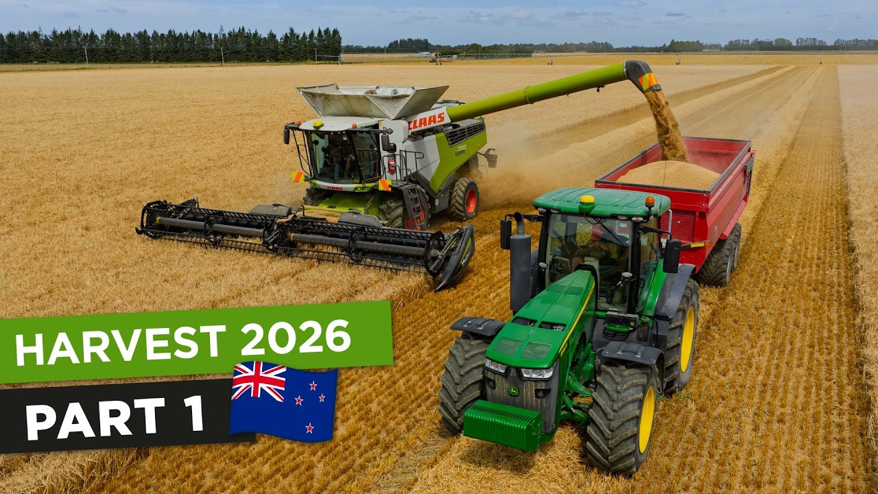 Farming in New Zealand: Reverse seasons | Part 1 | Unique story