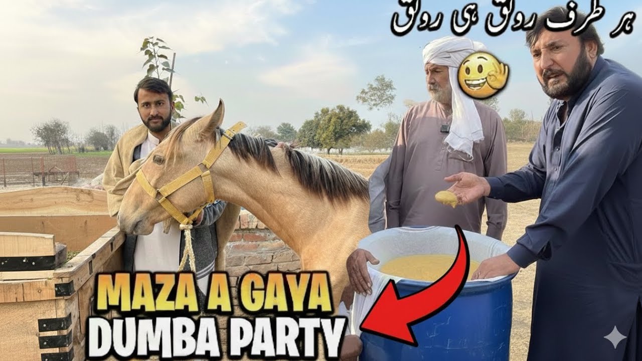 Anjum saroya da Nawan dhera visit Desi khand, Bakriyan te dangar wekho vlog Asadullah Barbra 
