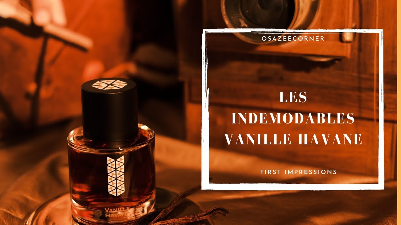 FIRST IMPRESSIONS/ VANILLE HAVANE LES INDEMODABLES