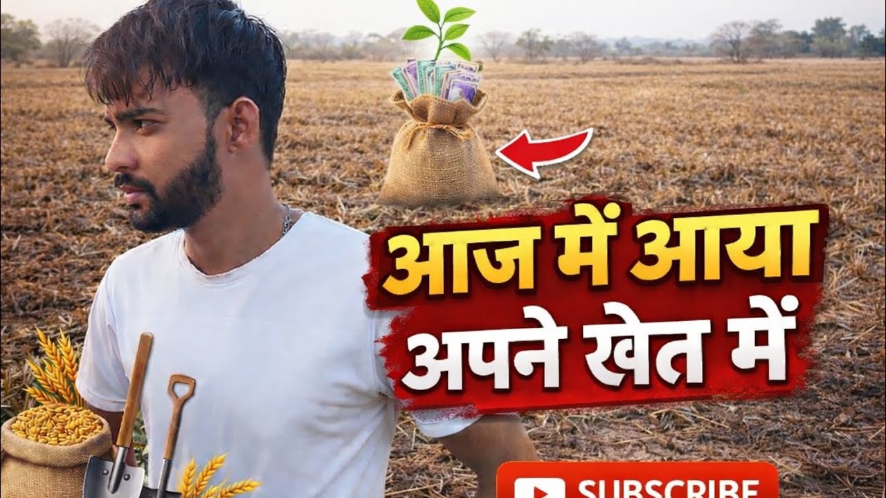 Today in my fields in Gaya 💯 Aaj gaya me apne kheto me 💯
