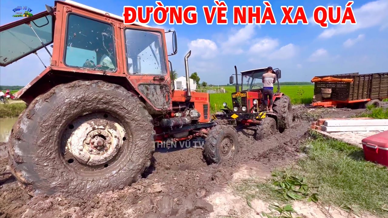 Hành trình giải cứu mọt mì của máy cày belarus 532 quá khó không dễ như mình nghĩ, thiện vũ tv