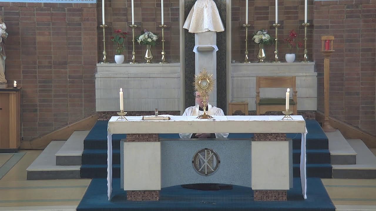 Mass for the Memoria of St John Bosco; then Holy Hour