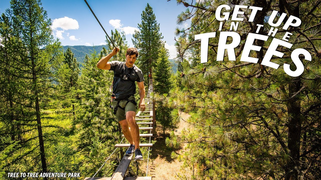 The TREE to TREE Adventure Course in North Idaho