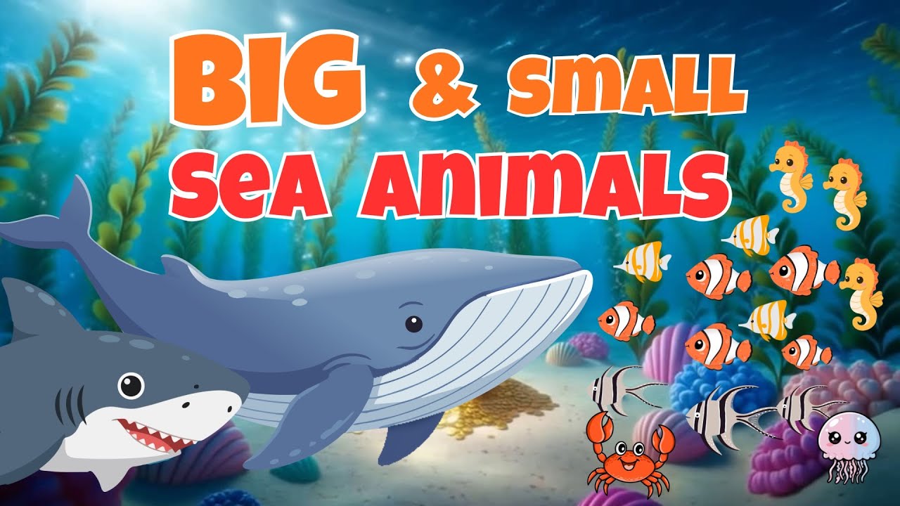 Большие и маленькие морские животные для детей 🐋🐠 | Увлекательное изучение океана
