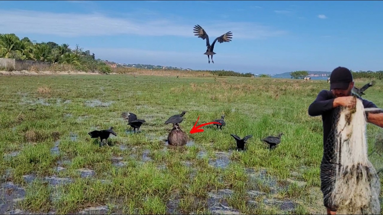 Estava sendo devorada viva_ primeiro robalo na tarrafa...