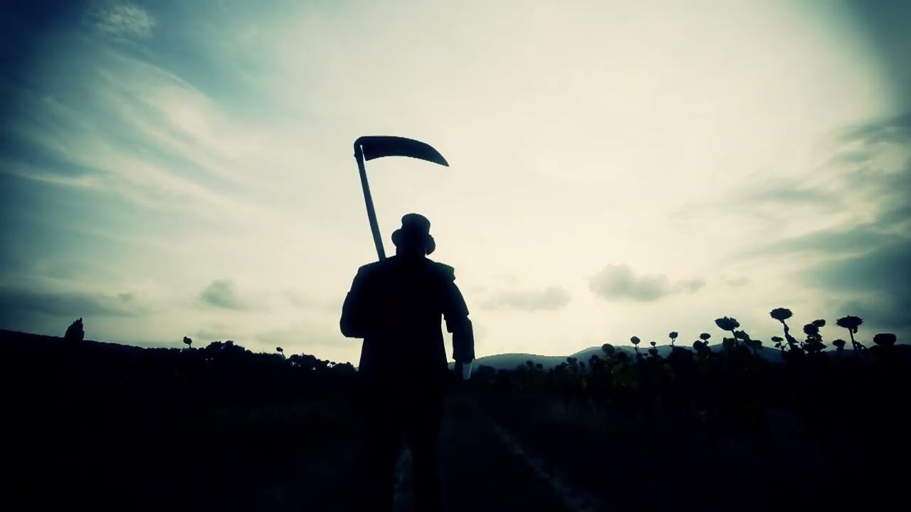 Nous sommes tous des tournesols