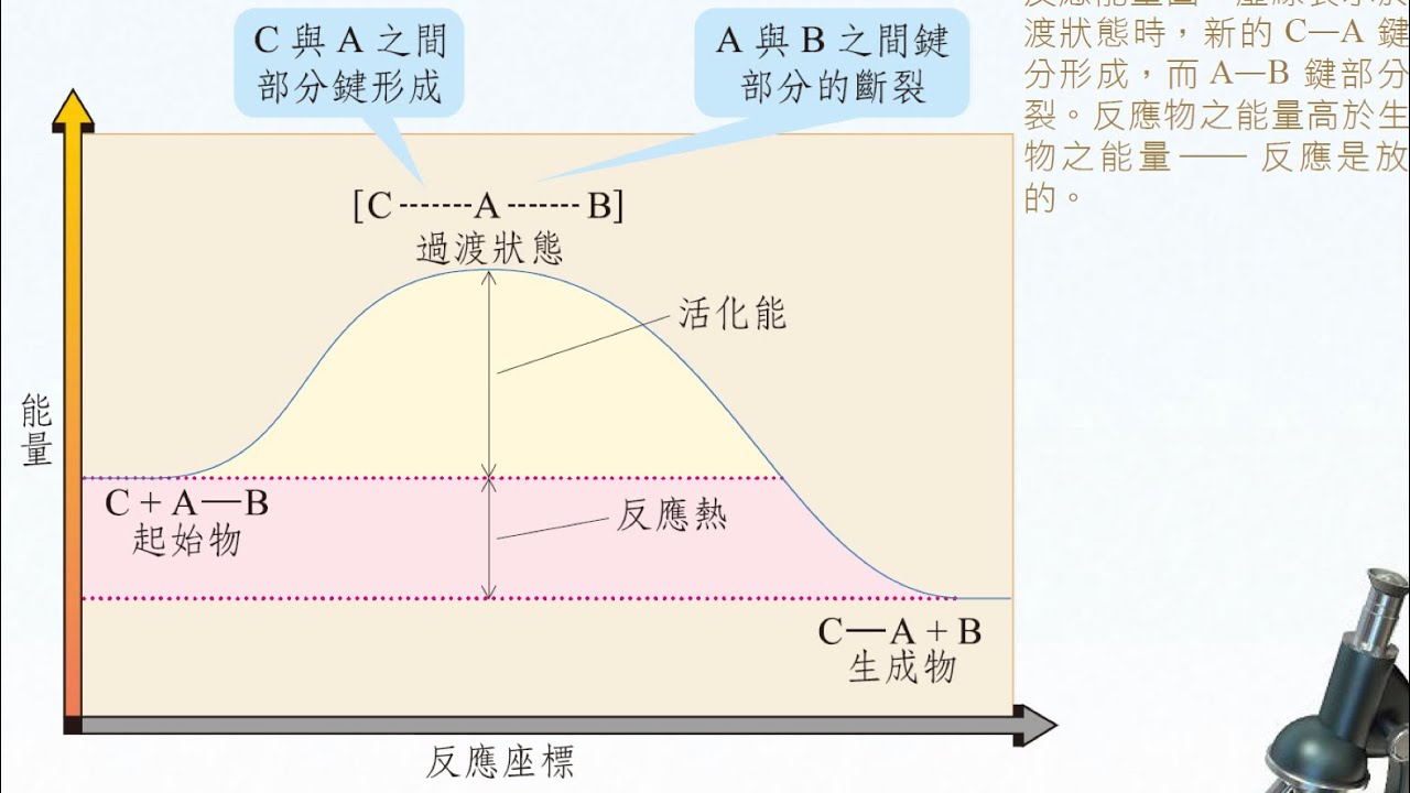 有機化學1&mdash;chapter 5 活化能