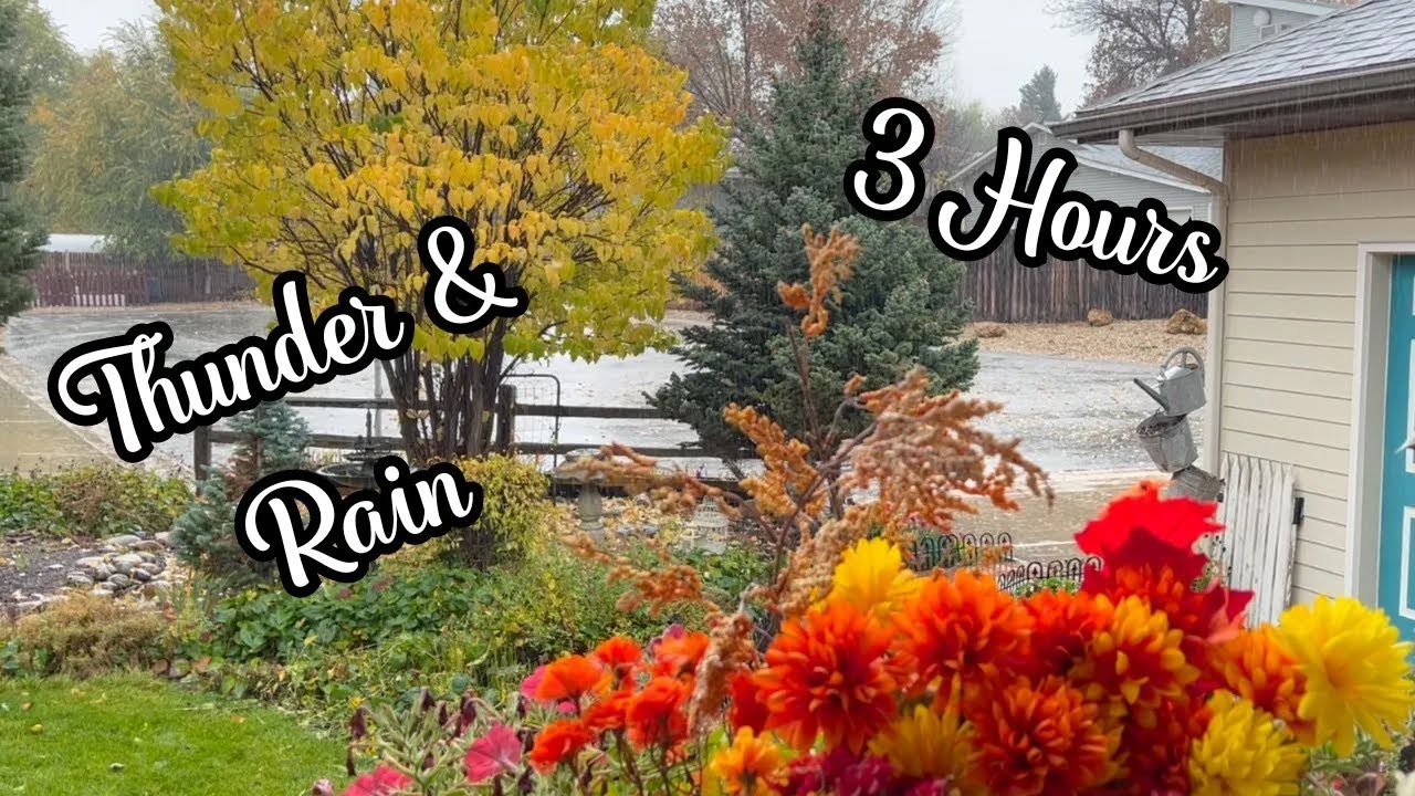 Thunder and Rain Sleep Sounds to Help You Relax with ASMR