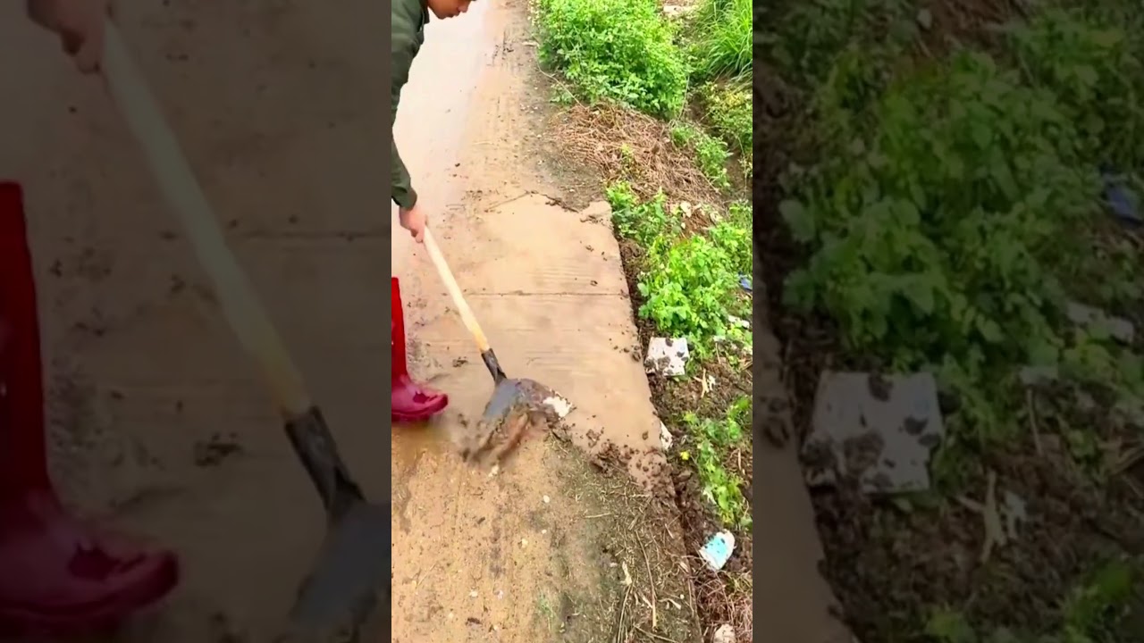 Clear mud and debris 